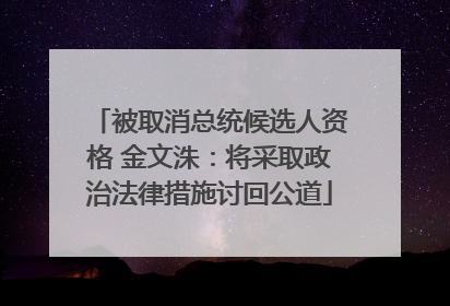 被取消总统候选人资格 金文洙：将采取政治法律措施讨回公道