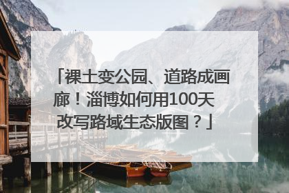 裸土变公园、道路成画廊！淄博如何用100天改写路域生态版图？