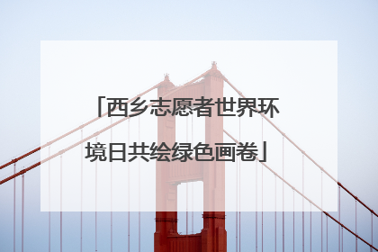 西乡志愿者世界环境日共绘绿色画卷