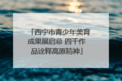 西宁市青少年美育成果展启幕 四千作品诠释高原精神