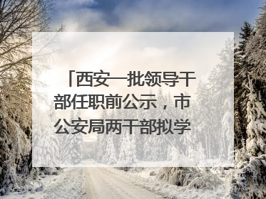 西安一批领导干部任职前公示，市公安局两干部拟学历破格提拔