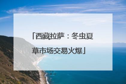 西藏拉萨：冬虫夏草市场交易火爆