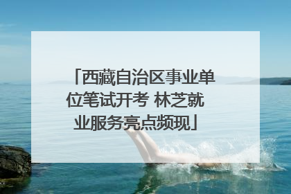 西藏自治区事业单位笔试开考 林芝就业服务亮点频现