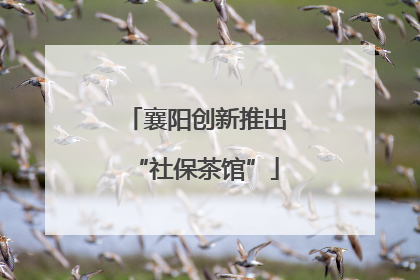 襄阳创新推出“社保茶馆”
