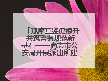 观摩互鉴促提升 共筑警务规范新基石——尚志市公安局开展派出所建设拉动观摩活动