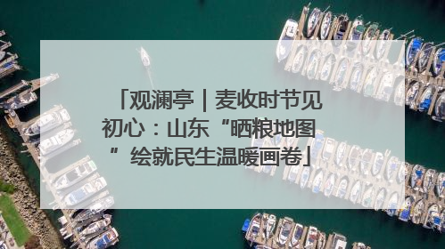 观澜亭｜麦收时节见初心：山东“晒粮地图”绘就民生温暖画卷