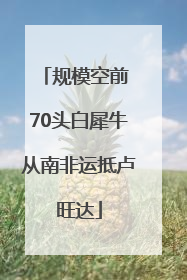 规模空前 70头白犀牛从南非运抵卢旺达