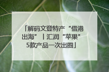 解码文登特产“借港出海”丨汇润“苹果”5款产品一次出圈