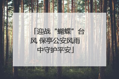 迎战“蝴蝶”台风 保亭公安风雨中守护平安