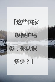 这些国家一级保护鸟类，你认识多少？