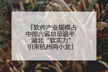 软件产业规模占中部六省总量逾半 湖北“软实力”引来杭州两小龙
