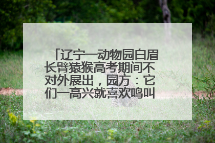 辽宁一动物园白眉长臂猿猴高考期间不对外展出，园方：它们一高兴就喜欢鸣叫，怕影响考试