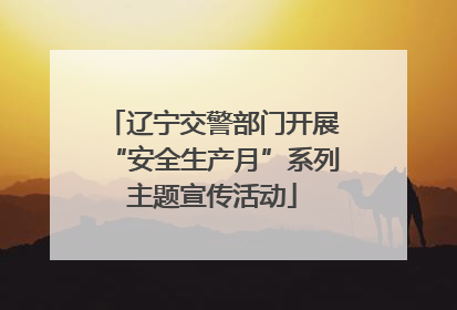 辽宁交警部门开展“安全生产月”系列主题宣传活动