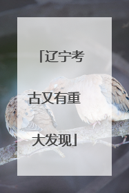 辽宁考古又有重大发现