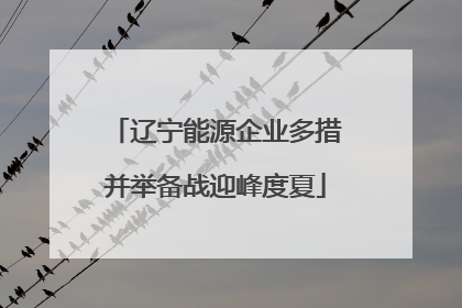 辽宁能源企业多措并举备战迎峰度夏
