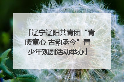 辽宁辽阳共青团“青暖童心 古韵承今”青少年观剧活动举办