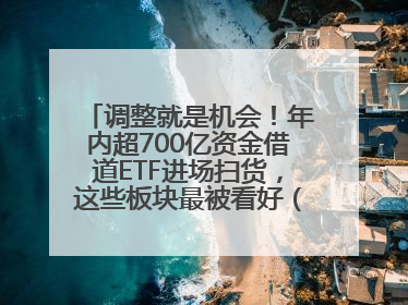 调整就是机会！年内超700亿资金借道ETF进场扫货，这些板块最被看好（附名单）