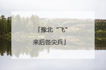 豫北“飞”来后备尖兵