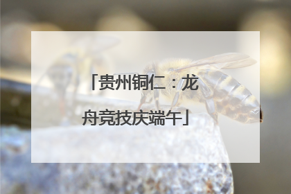 贵州铜仁：龙舟竞技庆端午