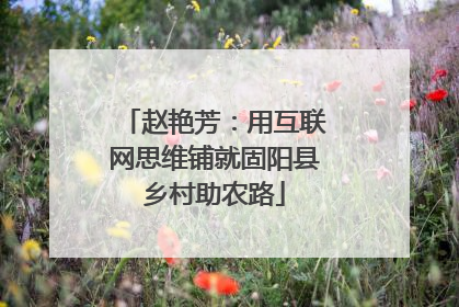 赵艳芳：用互联网思维铺就固阳县乡村助农路