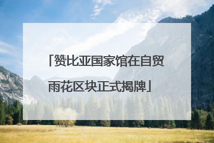 赞比亚国家馆在自贸雨花区块正式揭牌
