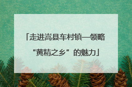 走进嵩县车村镇—领略“黄精之乡”的魅力