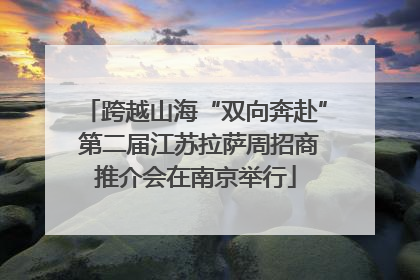 跨越山海“双向奔赴” 第二届江苏拉萨周招商推介会在南京举行