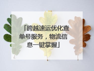 跨越速运优化查单号服务，物流信息一键掌握