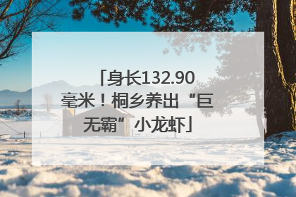 身长132.90毫米！桐乡养出“巨无霸”小龙虾