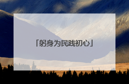 躬身为民践初心