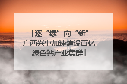 逐“绿”向“新” 广西兴业加速建设百亿绿色钙产业集群