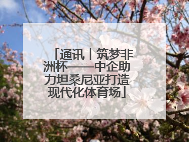 通讯丨筑梦非洲杯——中企助力坦桑尼亚打造现代化体育场