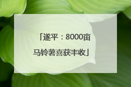 遂平：8000亩马铃薯喜获丰收