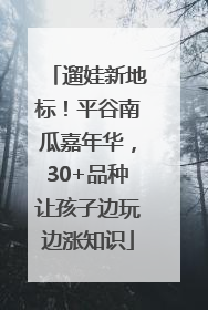 遛娃新地标！平谷南瓜嘉年华，30+品种让孩子边玩边涨知识