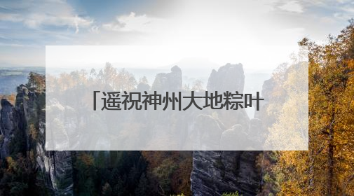 遥祝神州大地粽叶飘香｜重温中国航天员的太空祝福
