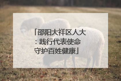 邵阳大祥区人大：践行代表使命 守护百姓健康