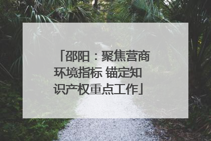 邵阳：聚焦营商环境指标 锚定知识产权重点工作