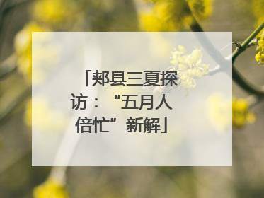 郏县三夏探访：“五月人倍忙”新解
