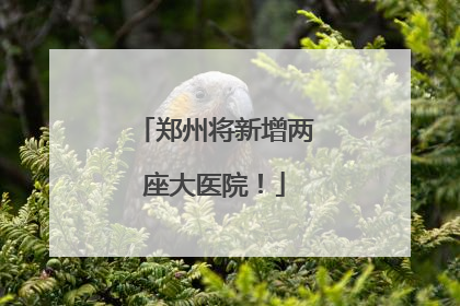 郑州将新增两座大医院！