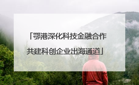 鄂港深化科技金融合作 共建科创企业出海通道