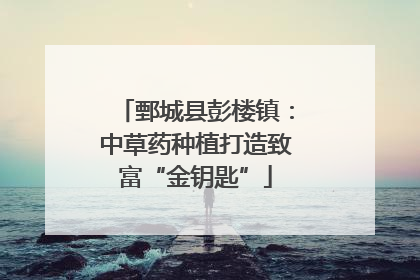 鄄城县彭楼镇：中草药种植打造致富“金钥匙”