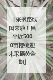 采摘路线图来啦！昌平近5000亩樱桃迎来采摘黄金期