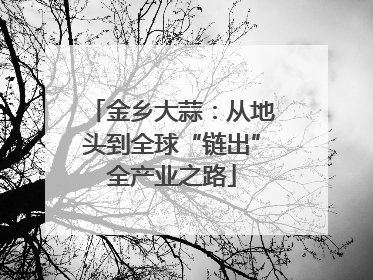 金乡大蒜：从地头到全球“链出”全产业之路