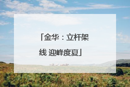 金华：立杆架线 迎峰度夏