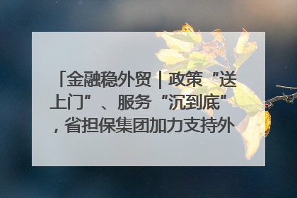 金融稳外贸｜政策“送上门”、服务“沉到底”，省担保集团加力支持外经贸高质量发展