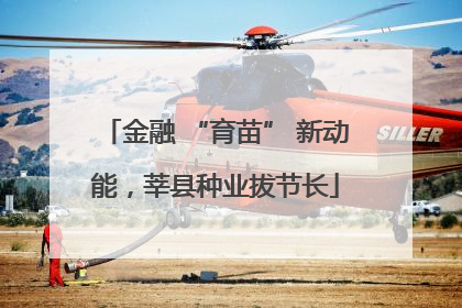 金融 “育苗” 新动能，莘县种业拔节长
