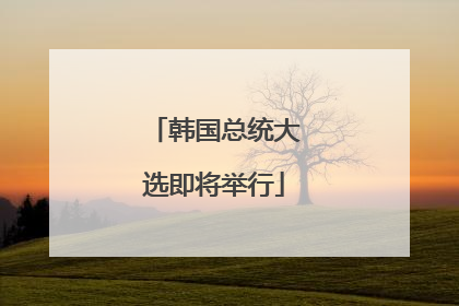 韩国总统大选即将举行