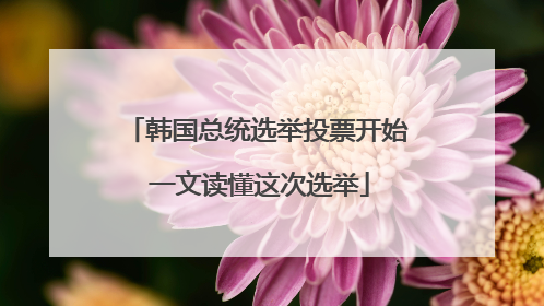 韩国总统选举投票开始 一文读懂这次选举