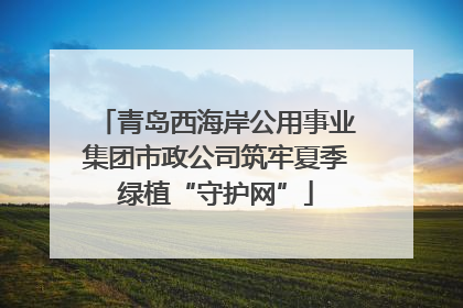 青岛西海岸公用事业集团市政公司筑牢夏季绿植“守护网”