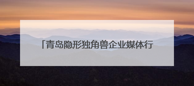 青岛隐形独角兽企业媒体行：揭秘智能家居、芯片技术等创新亮点 共绘科技新篇章